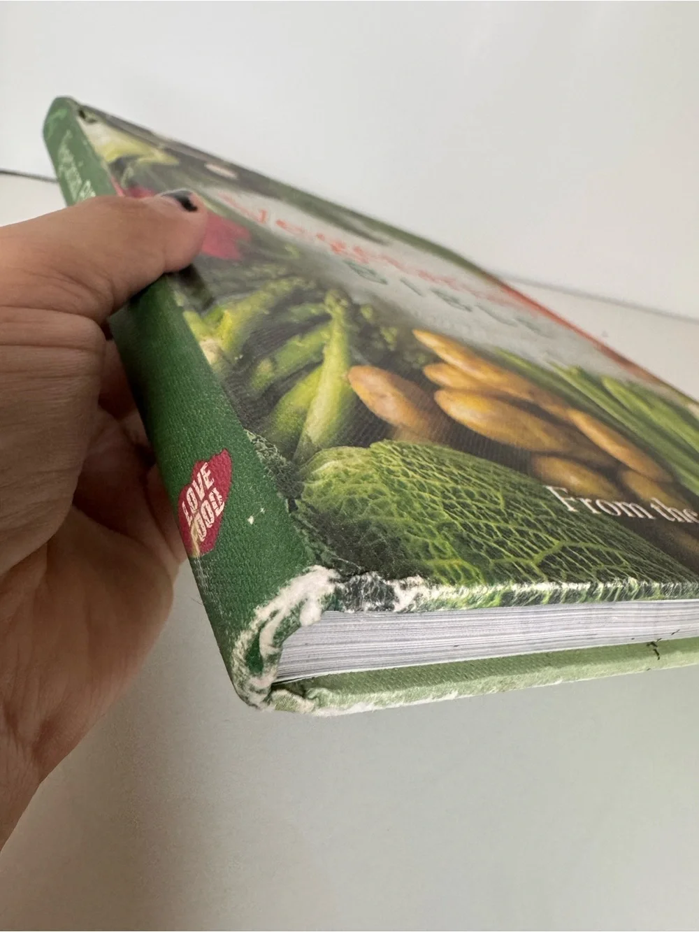 Vegetarian Bible - Green and Multi Color Cover